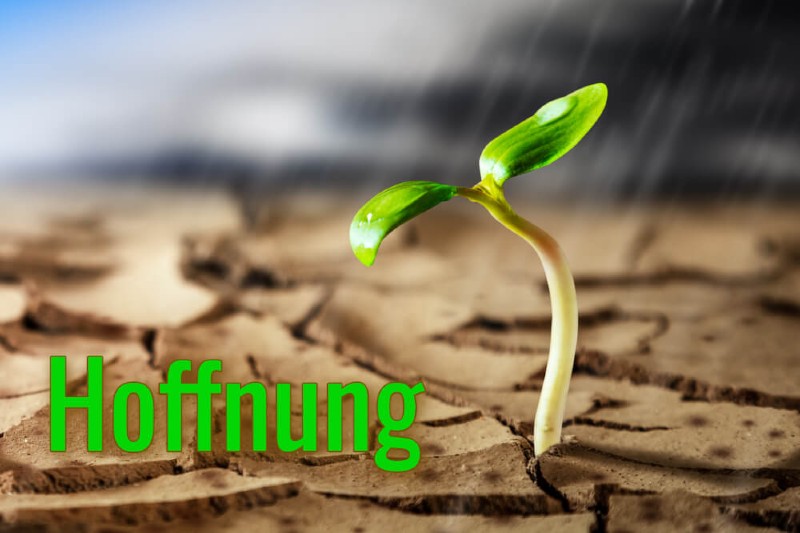 "Hoffnung" - Andacht mit Musik in der Röhrehütte Bäriswil