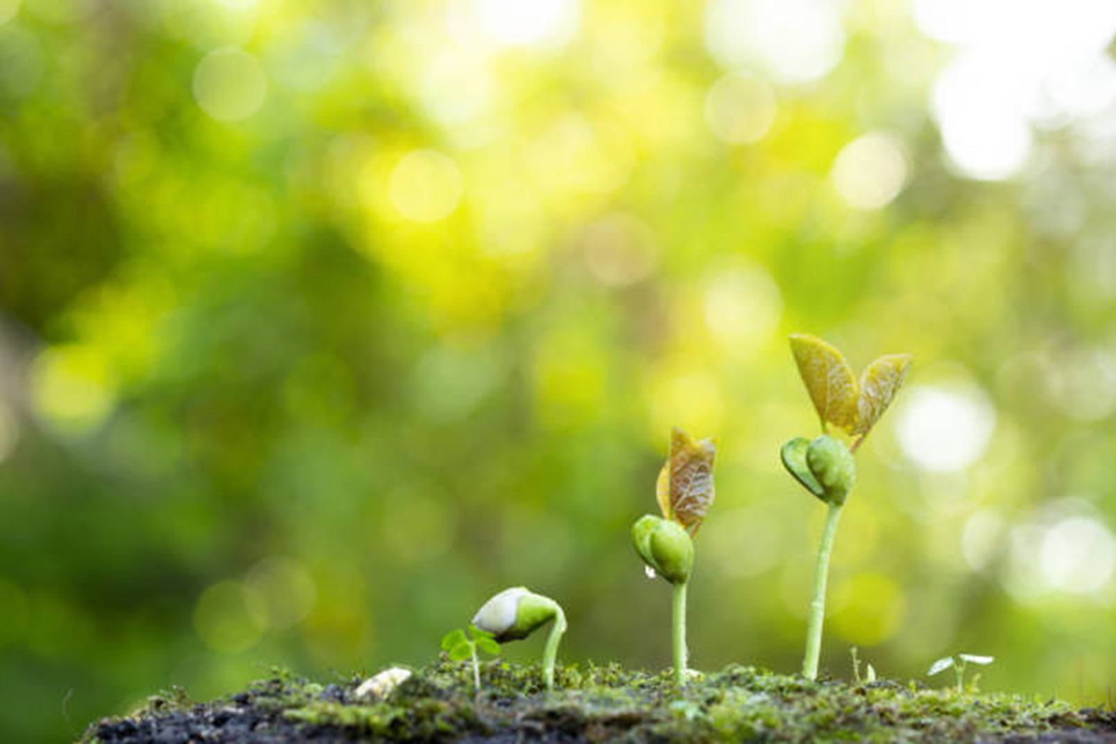 Dienstag, 10. März, 14.30 Uhr